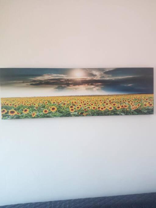 Apartamento Il Girasole Cagliari Exterior foto
